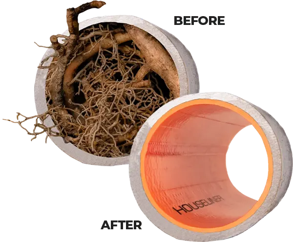 Trenchless sewer line work by Potty Doctor